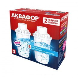 Сменный модуль В5 (В100-5) защита от бактерий (комплект из 2-х штук) в Кирсанове